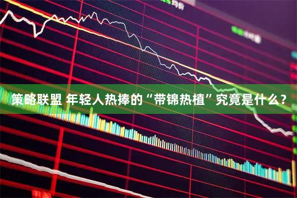策略联盟 年轻人热捧的“带锦热植”究竟是什么？