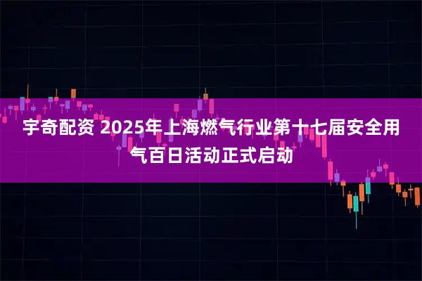 宇奇配资 2025年上海燃气行业第十七届安全用气百日活动正式启动