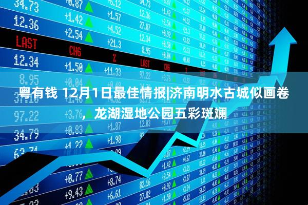 粤有钱 12月1日最佳情报|济南明水古城似画卷，龙湖湿地公园五彩斑斓