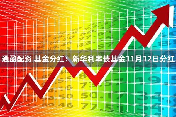 通盈配资 基金分红：新华利率债基金11月12日分红