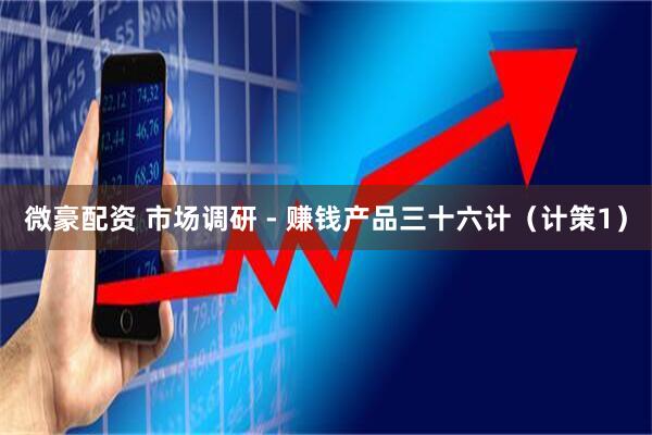 微豪配资 市场调研 - 赚钱产品三十六计（计策1）